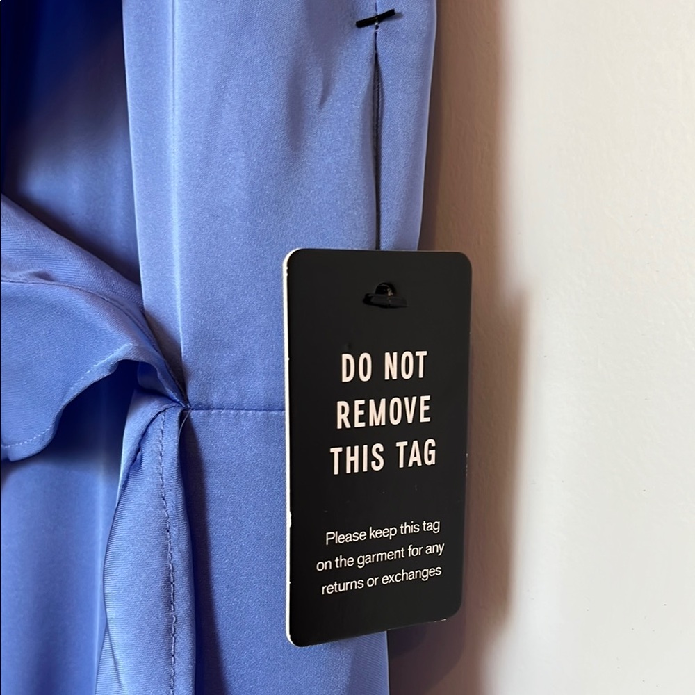 Express Blue Ruffle Dress - Picture 9 of 10